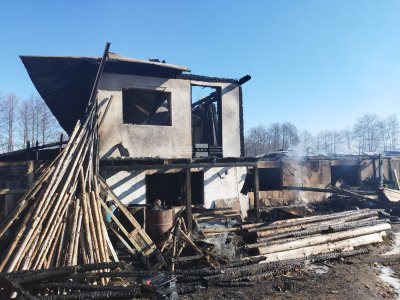 При пожар във ферма край Добринище тази нощ е загинал