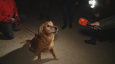Шведско спасително куче с български водач помогна за намирането на 18 оцелели в Турция