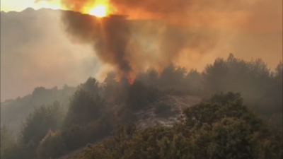 Овладян е пожарът над село Елешница