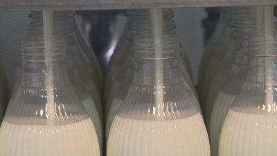Производители: 1,15 лв. струва млякото днес, в магазина е над 3 лв. заради таксите на веригите