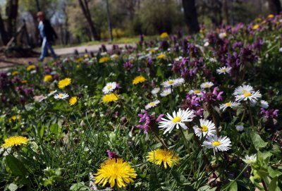 Съществено застудяване и валежи предстоят през следващата седмица но преди