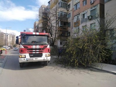 Над 60 сигнала заради ураганния вятър със сила над 100 км/час в Пловдив