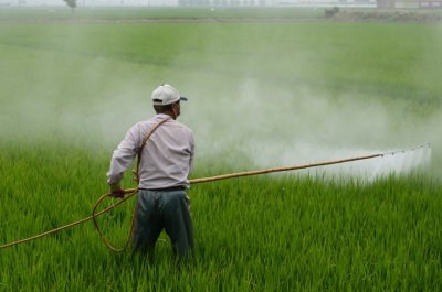 ОЛАФ: 11 тона пестициди са задържани в България