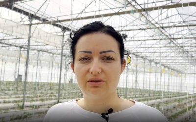 "Вашият глас": Десислава Кабурова, оранжериен производител