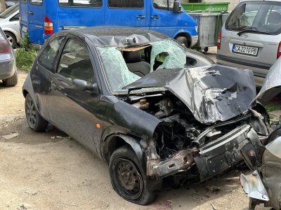 Съдът решава дали да остави в ареста момчето, коeто уби млади мъж и жена на пешеходна пътека в София