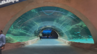 Кадри от тематичния парк Морски свят в Абу Даби Той