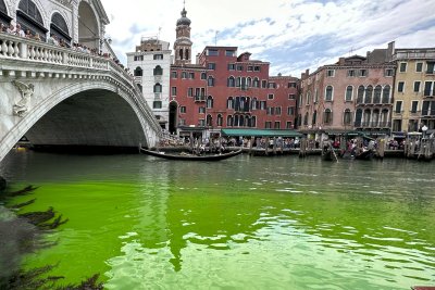 Зелената течност в Канале Гранде във Венеция е безопасна, увериха властите (СНИМКИ)