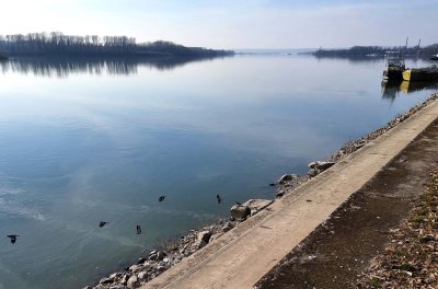Няма данни за замърсяване в нашия участък на р.Дунав след разлива край Нови Сад