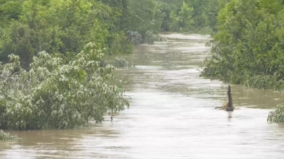 Водното бедствие в Северозапада: Нивата на реките Огоста и Скът започват да спадат