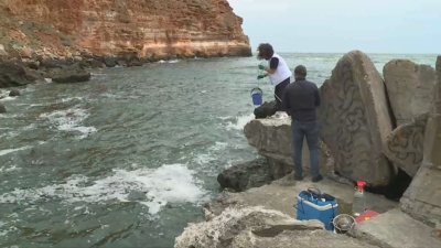 Басейнова дирекция започва ежеседмични изследвания на морската вода