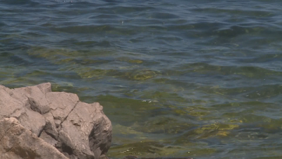 Няма данни за замърсяване в българската акватория на Черно море