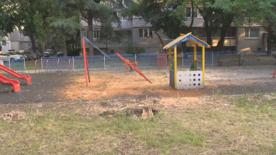 Огромно дърво падна върху детска площадка в Русе Инцидентът е станал