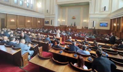 Депутатите обсъждаха на второ четене Закона за защита от домашното
