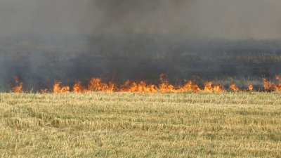 Пожар горя край магистрала "Тракия" в Пловдивско