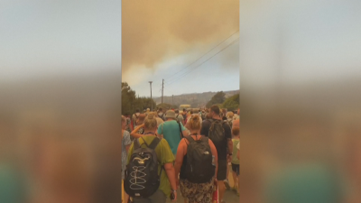 Хиляди са евакуирани от гръцкия остров Родос заради горските пожари