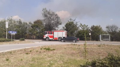 Пожар гори покрай жп линията между русенските квартали Долапите и