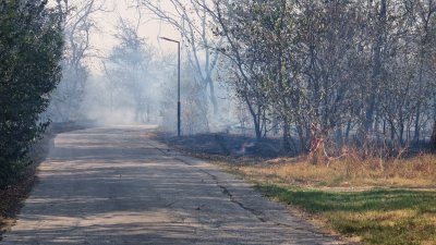 Голям пожар край Гребната база в Пловдив Гори суха растителност