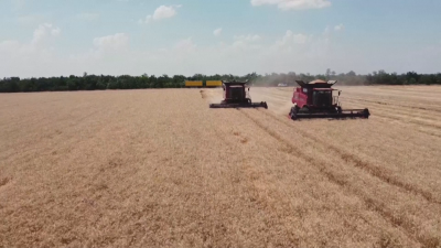 Полша иска удължаване на забраната за внос на зърно от Украйна