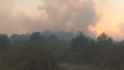 Продължава гасенето на пожара между пазарджишките села Памидово Карабунар Величково