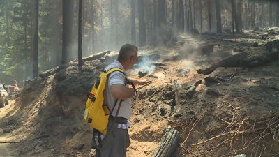 Над 50 декара гора е засегнал пожарът в Рила