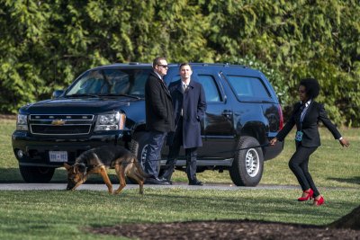 Кучето на президента Джо Байдън Командир е предизвикало няколко инцидента
