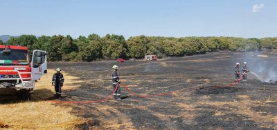 20 от българските пожарникари които помагаха в гасенето на пожарите