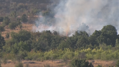 Обявиха бедствено положение в община Ивайловград заради пожара