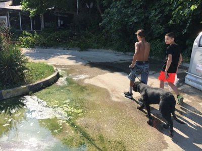 Липсваща тръба е причинила изтичането на отпадъчни води по крайбрежната алея във Варна