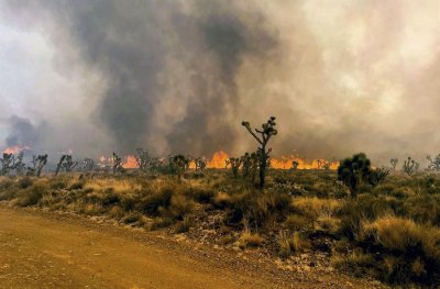 Голям горски пожар премина от Калифорния в Невада