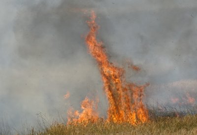 Заради няколко пожара разгорели се днес след обяд областният управител