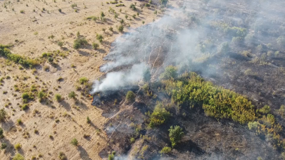 Нов голям пожар в Източните Родопи Огънят бушува в гората между