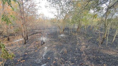 Огнеборци са гасили 25 пожара в страната през изминалото денонощие