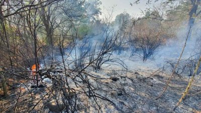 Потушен е пожарът който пламна във вторник следобед над Сапарева