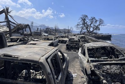 Броят на загиналите при горските пожари на Хавайските о ви достигна