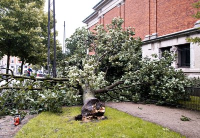 Хиляди домакинства в Полша останаха без ток след силните бури
