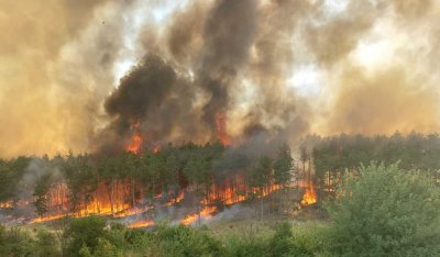 Пожар гори в борова гора край гълъбовското село Медникарово Tова