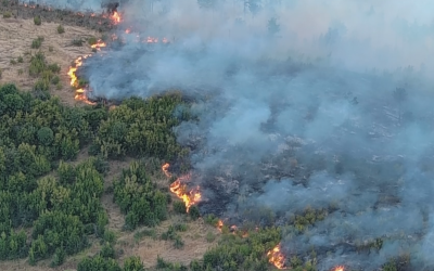 170 пожара са потушени на територията на страната през последното денонощие
