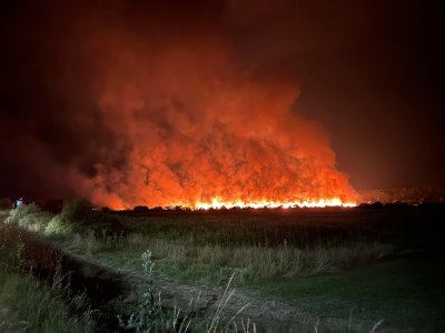 Голям пожар горя в Разложко Пламъците са избухнали в района