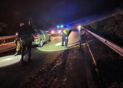 Кола удари крави на главния път Бургас-Малко Търново, двама са пострадали