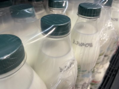 Млякото и млечните продукти са поскъпнали с близо 50% през последните 4-5 години