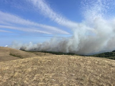 Продължава борбата с огъня в Бургаско Силният вятър който продължава
