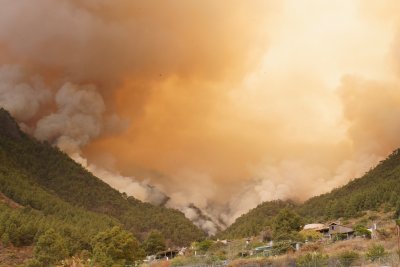 На остров Тенерифе бушува огромен пожар Независимо от усилията на огнеборците