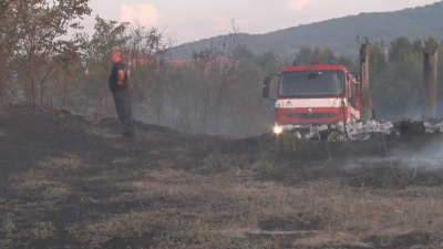 Няколко големи пожара бушуват в Свиленградско