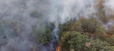 Овладян е горският пожар край село Любен – съобщи за