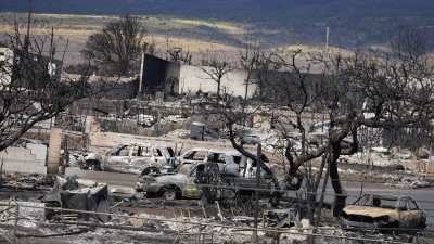 Смъртоносният пожар на хавайския остров Мауи е нанесъл щети за