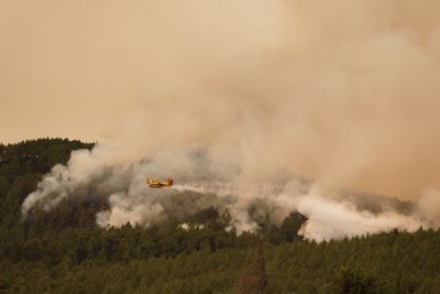 Горски пожари на Тенерифе и в Канада, бурята във Франкфурт отмени десетки полети