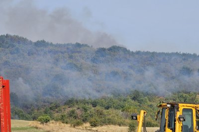 Овладян е големият пожар край Свиленград