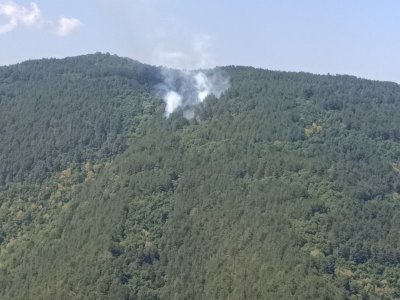 Пожар гори на връх Баба между Бачково и Добралък