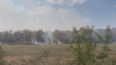Големият пожар в Бургаско край село Кубадин е ликвидиран и