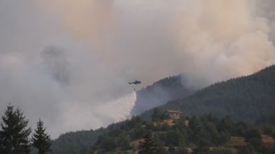 Пожарът в Родопите обхвана площ от над 550 декара
